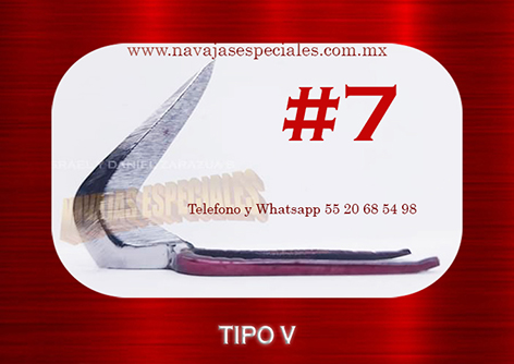 Tipo V